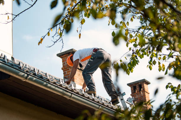 Roof Repair Estimates in Orland Park, IL
