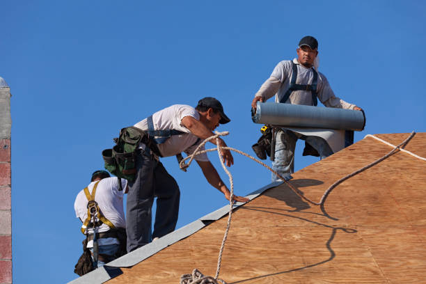 Best Roof Replacement Cost  in Orland Park, IL